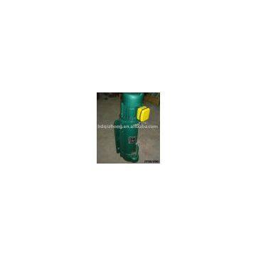 CD1,MD1 Electric Chain Hoist