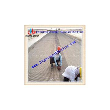 Polyester Warp Kintting Geogrid photo-3