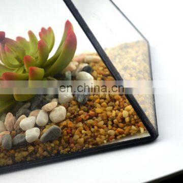 Geometric Terrarium Geometric Glass Terrarium Wholesale photo-5