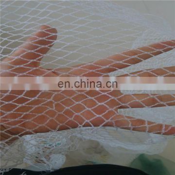 China Factory Plastic Bird Net Trap to Catch Birds