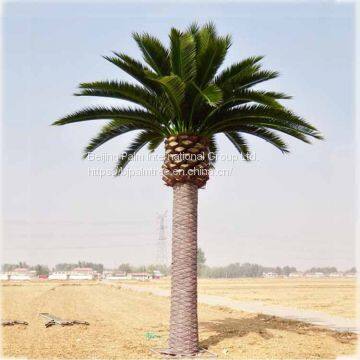 Artificial Date Palm photo-5