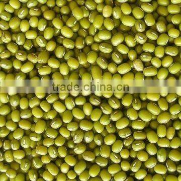 mungbean