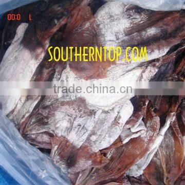 Dried Squid