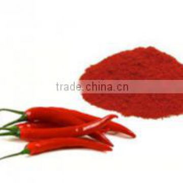 Quality Red chilli Powder for bulk sales