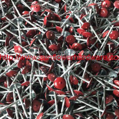 colourful roofing  nails