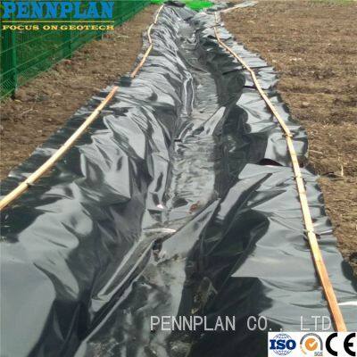 0.5mm 0.75mm 1mm Aquaculture Pond Liner Fish Shrimp Pond Liner HDPE Geomembranes