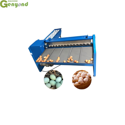 Factory Price Automatic Egg Accumulator Egg Grader Sorting Machine Egg Grading Machine