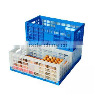 Folding plastic transport egg crate