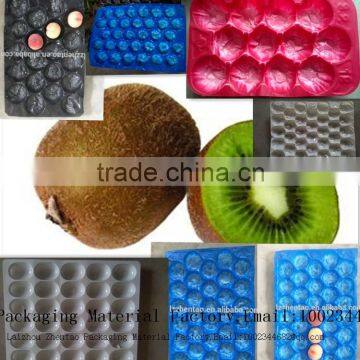 professional manufacture fruit packaging tray with holes cup holder