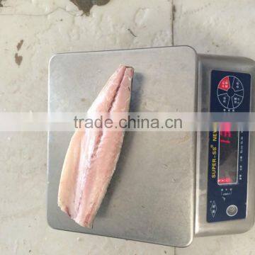 Frozen Scomber Japonicus Mackerel Fillet photo-4