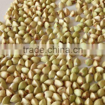 2015corp hulled buckwheat kernels top quality