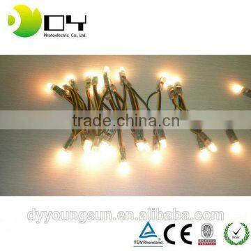 Addressable IP66 12MM Pixel Led String L ight