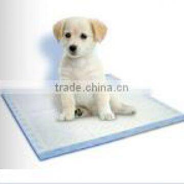 CASOFT disposable pet training pee pad wholesale in China