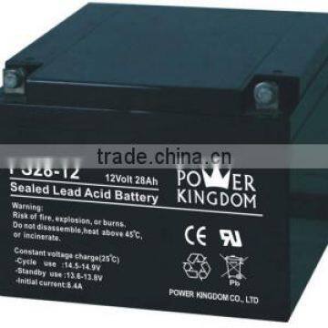 UPS Batteries