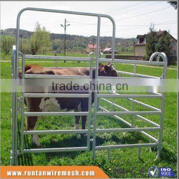 Australia galvanized cattle panel In Farm (Factory Trade Assurance)