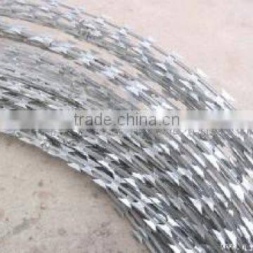 Factory Directly Sale Barbed Wire/razor Barbed Wire/cheap Barbed Wire Galvanized Steel photo-5