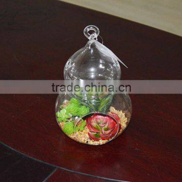 Wholesale Boyu Hanging Terrarium Succulent Plants Tropical Plants photo-2