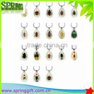 Real Insects Key Ring, Animial Specimen Sample Key Ring , Butterflies, Sea Life Amber Fashion Jewelry Key Ring photo-6