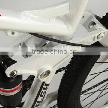26 Inch New Style Passive Damper Electric Bicycle (Model XCB900N)