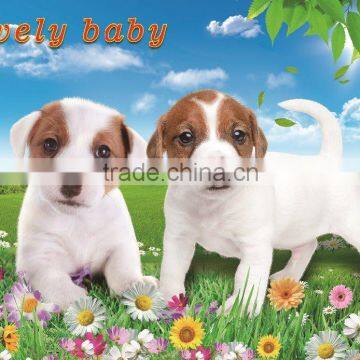 Xinlong customize animal wall picture