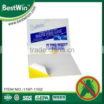 BSTW professional adhesive factory wholesale sticky UV lighted magic fly paper