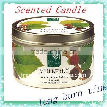 Home Decorative Scented Soy Tin Candle