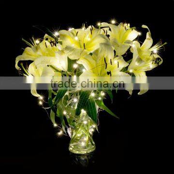 Star Starry Light LED String Light Copper Wire String Lights 5m 8m 10m 15m 20m 25m photo-6