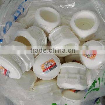 cheap and fine PPR pipe fitting plug