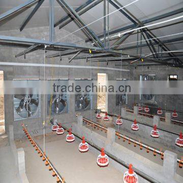 automatic poultry farming equipment