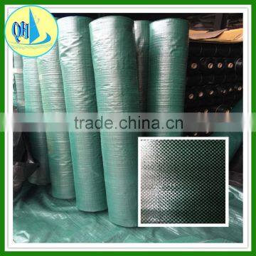 PP mulching plant net for weed control