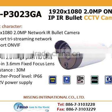 IW-P3023GA 2.0MP Power Supply DC12V IP CCTV Camera