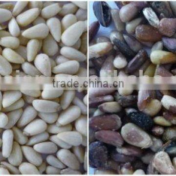 2016 Best Sell Cashew Nuts Processing Machinery With Lower Price Using 5000+pixel photo-5