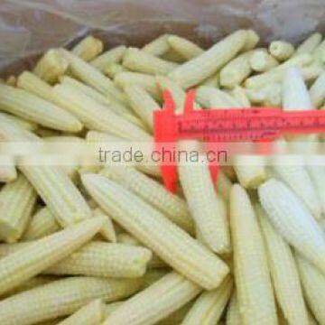 2016 IQF Frozen Baby Corn yellow corn price