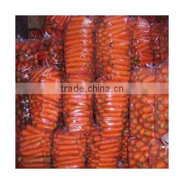 carrot price