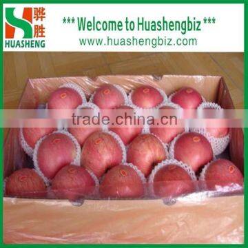 PREMIUM QUALITY FRESH APPLES