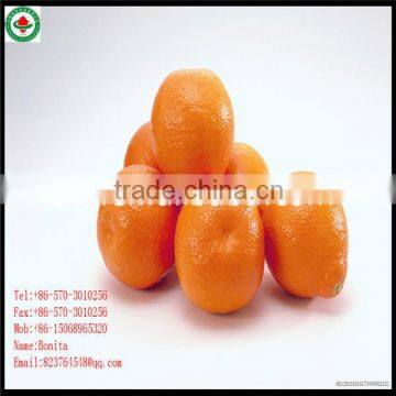 Frozen Mandarin Orange