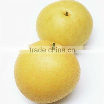 White Pear