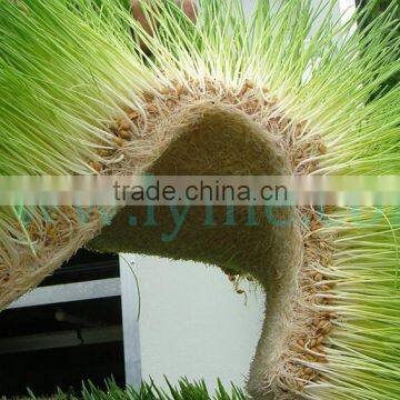 Agriculture Wholesale Domesticated Hydroponics Animal Fodder Tray Greenhouse Plastic Seeding Tray