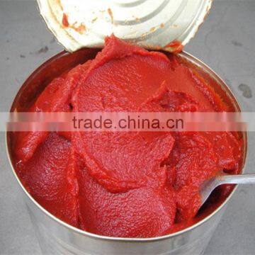 canned tomato paste with good quality fresh tomato paste processing plant