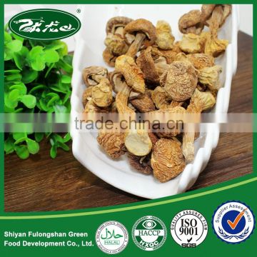 Wholesale 100% Natural Organic Matsutake