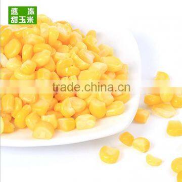 Grade A Quality Frozen IQF Sweet Corn Kernel photo-2