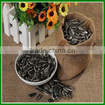 Sale Best Quality Raw Sunflower Seeds 3939 For Human Consumption