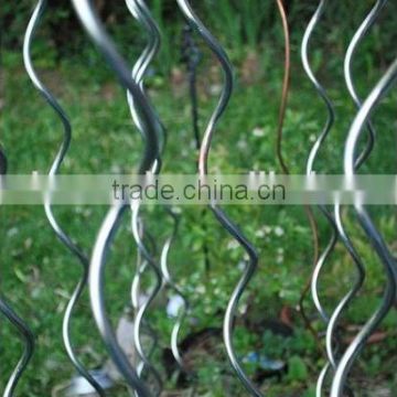 Tomato spiral wire