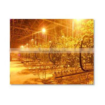Artificial Lighting System for Greenhouse photo-2