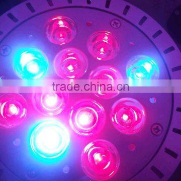 Bule Red Color Grow Light ,12w Par Light ,led Light Bulbs photo-2