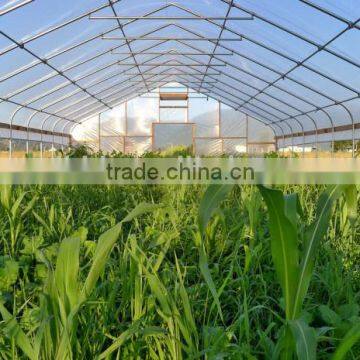 Cheap Easily Inatalled Plastic Film Vegetable Greenhouse photo-3
