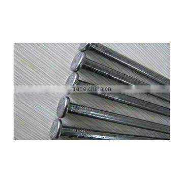 Common iron nails supplier