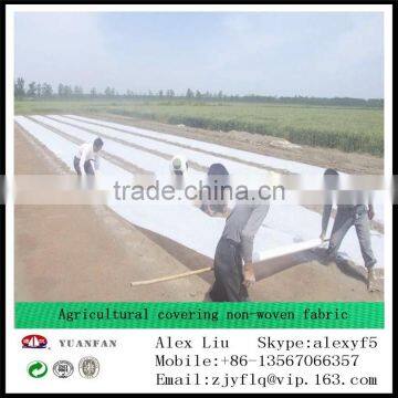 Non-woven Bag is Used to Cover the Outside of the Saplings, Frost Prevention, Freeze Prevention, Insect Prevention photo-4