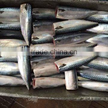 HGT Pacific Mackerel Scomber Japonicus Headless Gutted Tailess photo-6