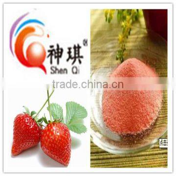 China supplier of fruit Extract Powder